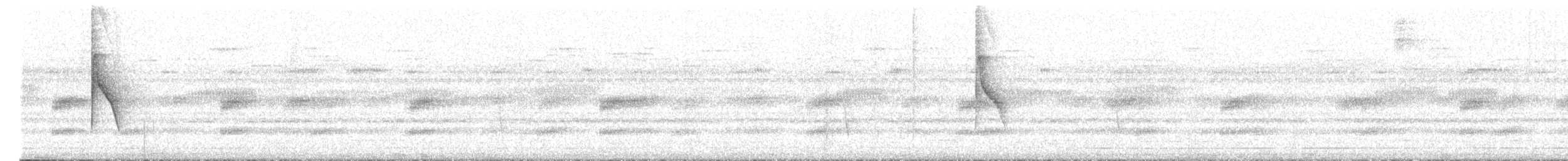 Braunscheitel-Ameisenvogel - ML610035017