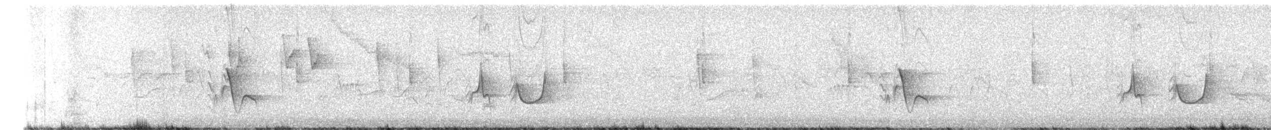 Kurşuni Vireo (notius/montanus) - ML610035519