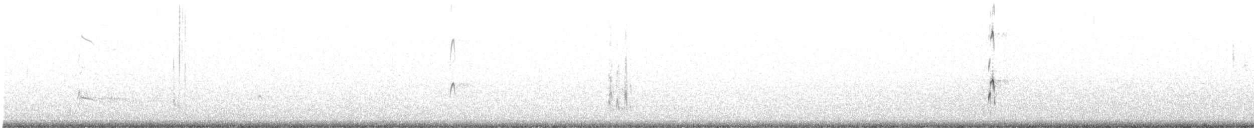Long-billed Curlew - ML610043496