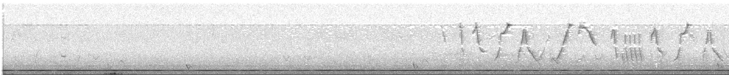 Свертушка чорновола - ML610050518