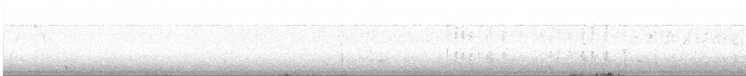 Weißflanken-Dunkeltyrann - ML610050558
