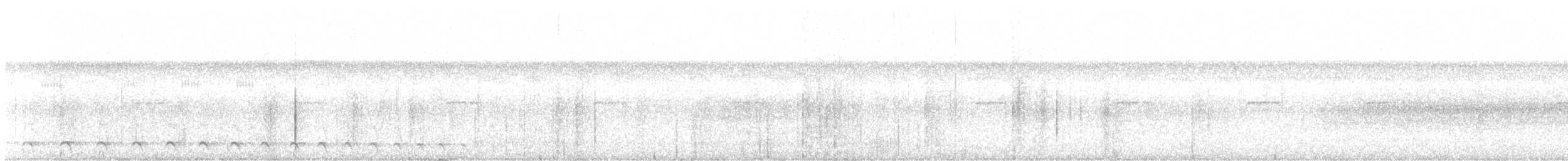 Weißbrust-Ameisenwürger - ML610052156