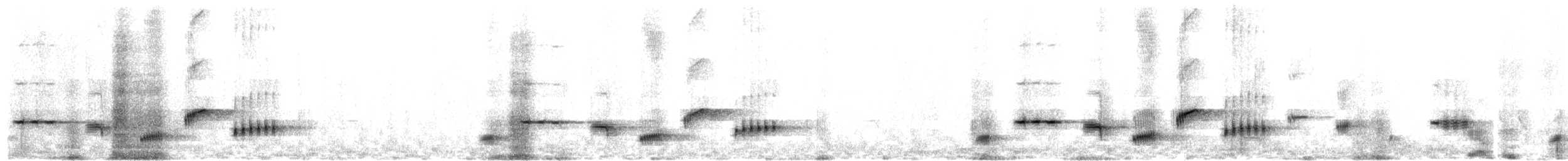 Батіжник вусатий (підвид nigrogularis/oberon) - ML610055753