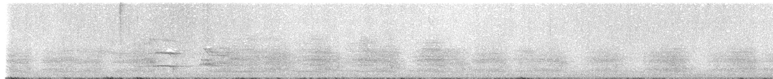 Baudin's Black-Cockatoo - ML610056053