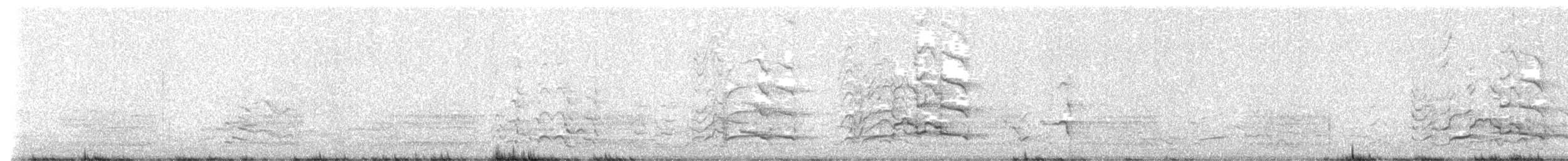 Baudin's Black-Cockatoo - ML610056062