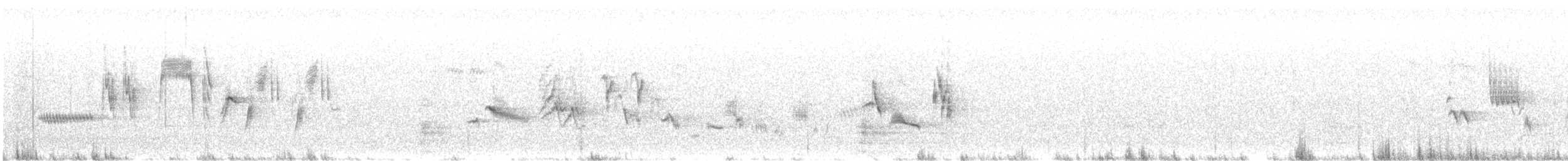 hekkskvett (galactotes gr.) - ML610056076