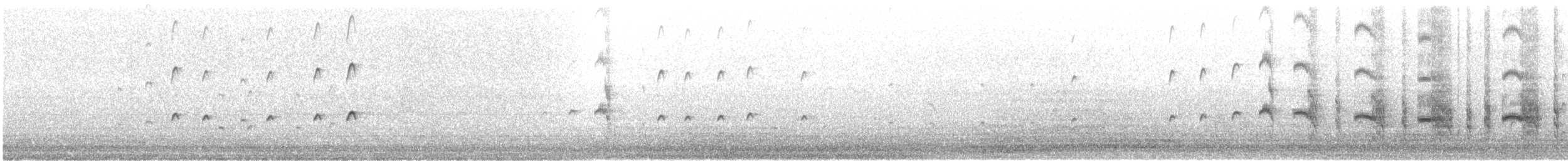Arctic Tern - ML610057041