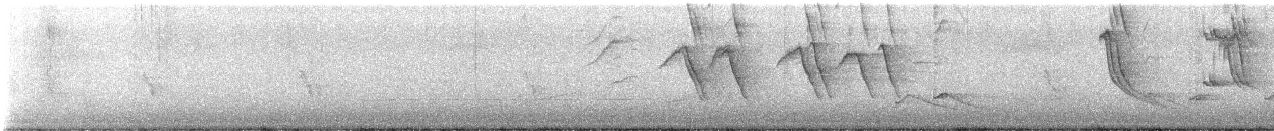 Storno - ML610062570