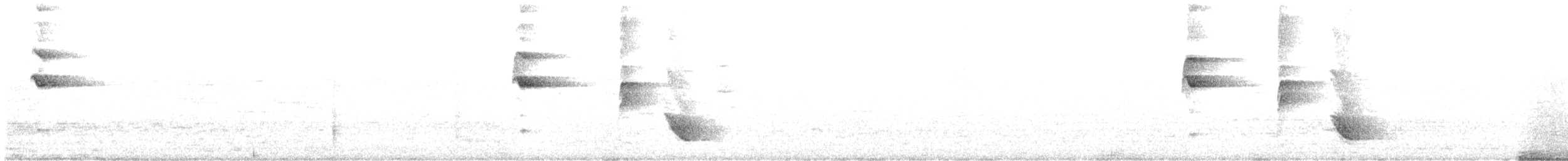 Pepitero sp. (Saltator sp.) - ML610063401