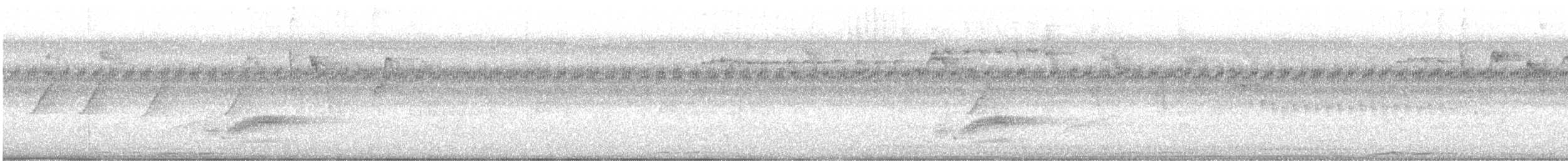 svartnakkepirol (frontalis gr.) - ML610066050