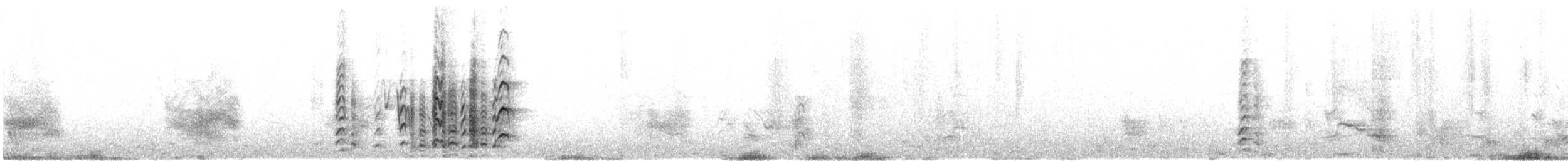kakadu běloocasý - ML610069962