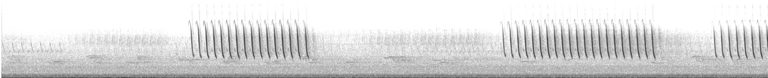 Chipping Sparrow - ML61007031