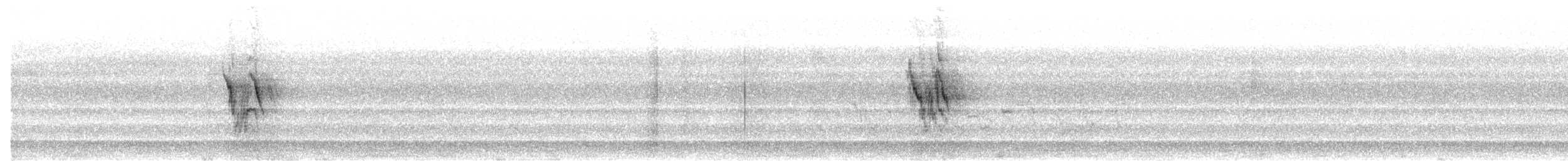 Buztanikara zuria (alba/dukhunensis) - ML610070642