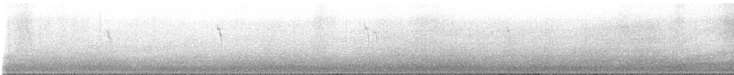 American Pipit - ML610081291