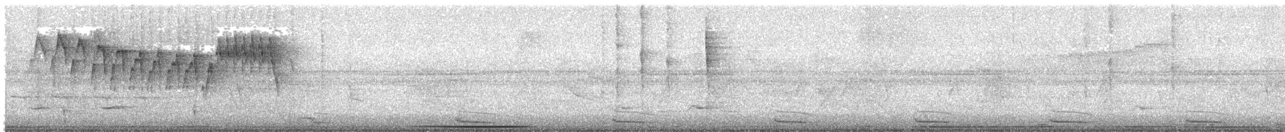 ギンムネカッコウ - ML610086073