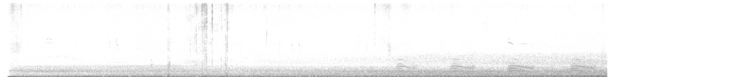 Lavandera Blanca (yarrellii) - ML610094729