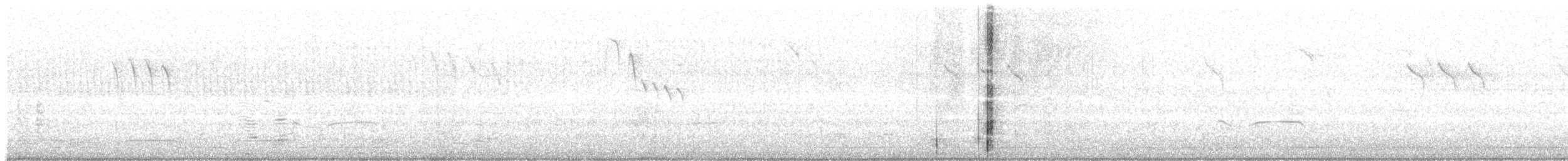 Black-bellied Plover - ML610095093