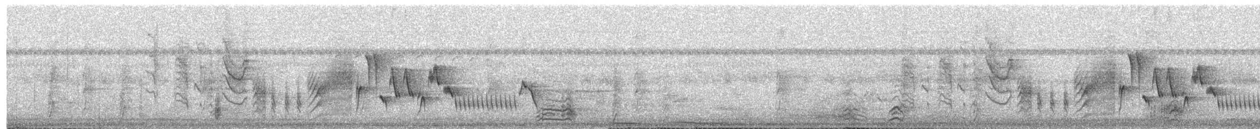 Southern House Wren - ML610095763