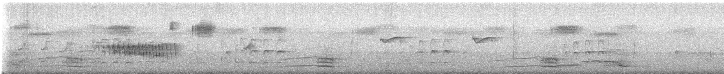 キタホオジロヒメウソ - ML610102688