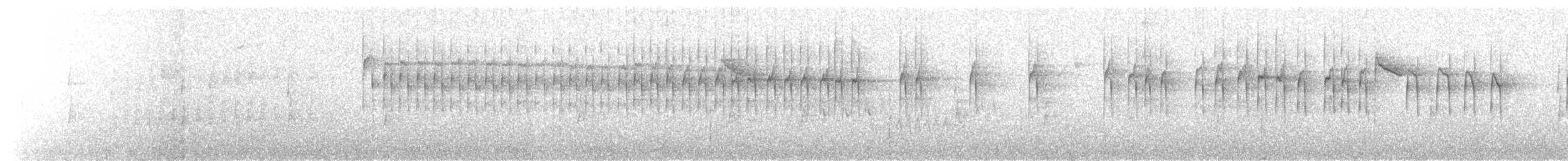 Araukarienmeisenschlüpfer - ML610105996