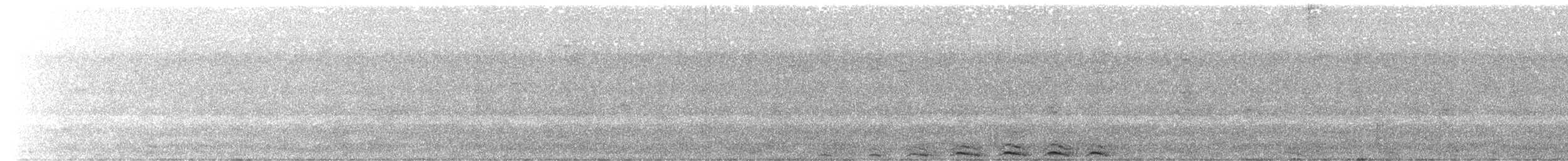 Сова-лісовик бура (підвид borelliana) - ML610124532