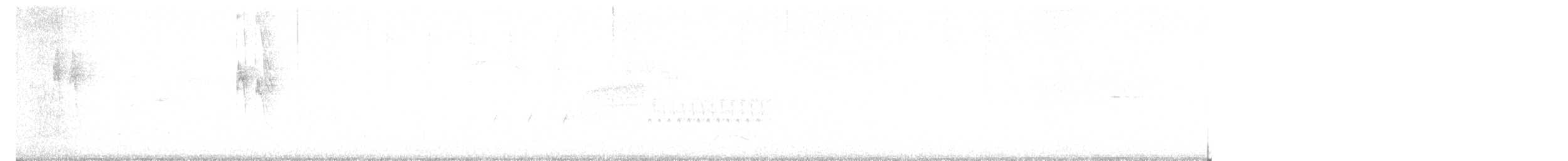 Troglodyte de Bewick - ML610124671
