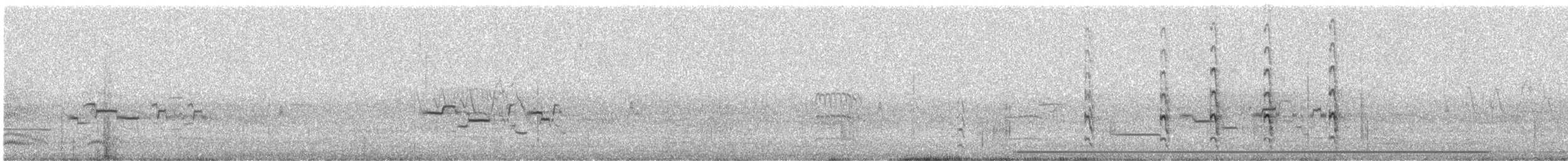 Münzevi Bülbül Ardıcı - ML610125902