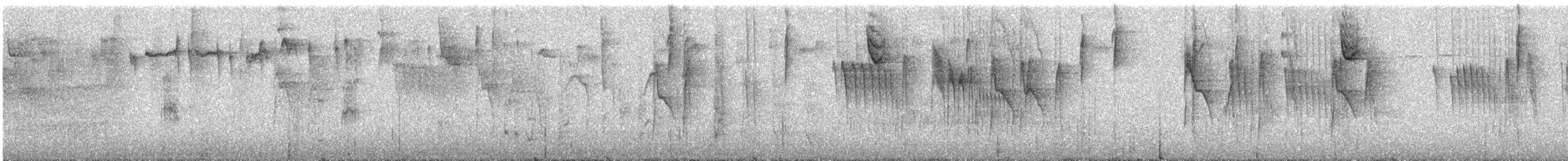 Brauentachurityrann - ML610127525