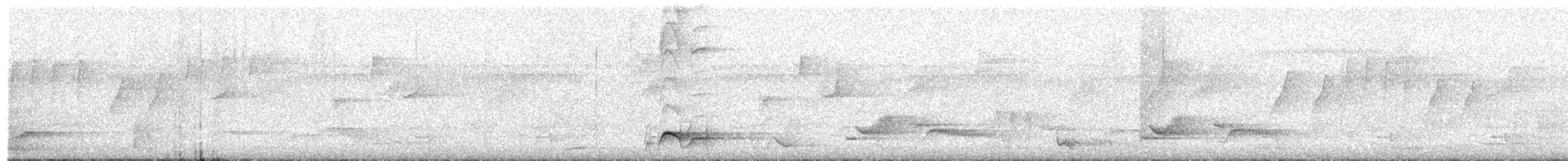 Bar-bellied Pitta - ML610129703