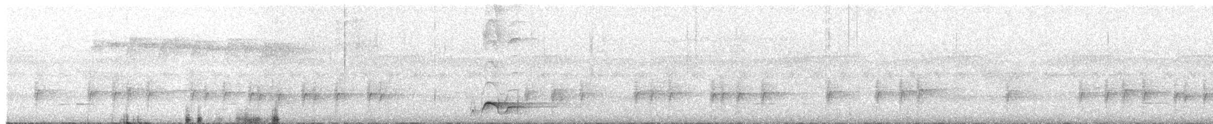 Bar-bellied Pitta - ML610129704