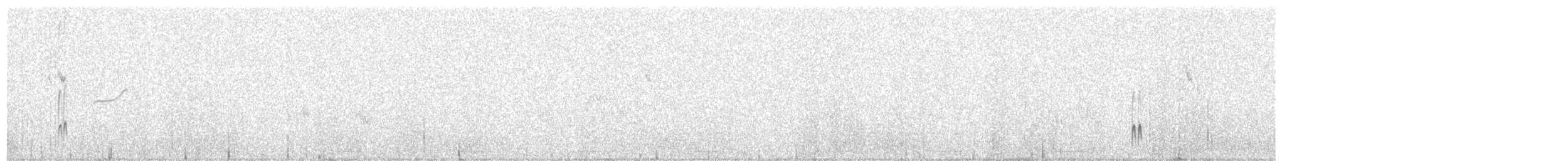 Weißstirn-Regenpfeifer - ML610130551