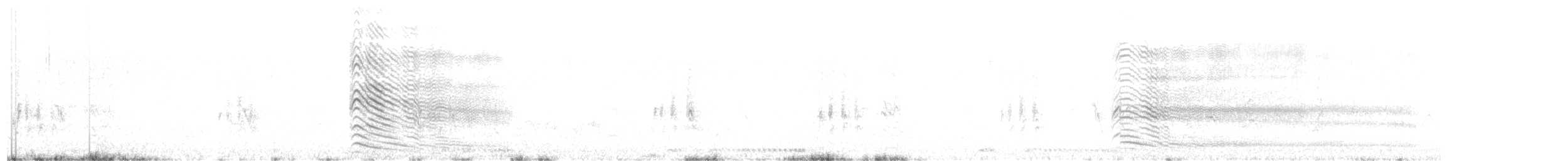 Graulärmvogel - ML610132890