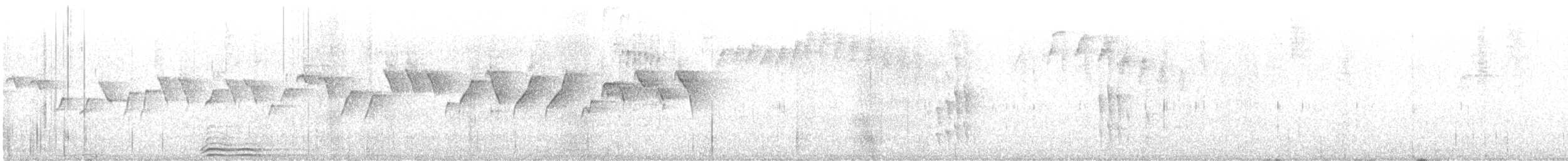 Tyranneau à sourcils blancs - ML610133062