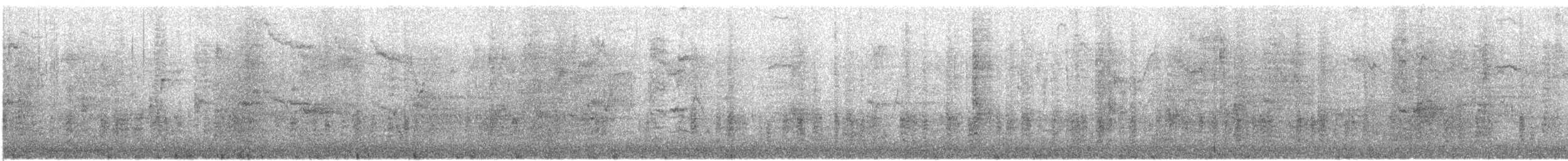 Common Grackle - ML610134500