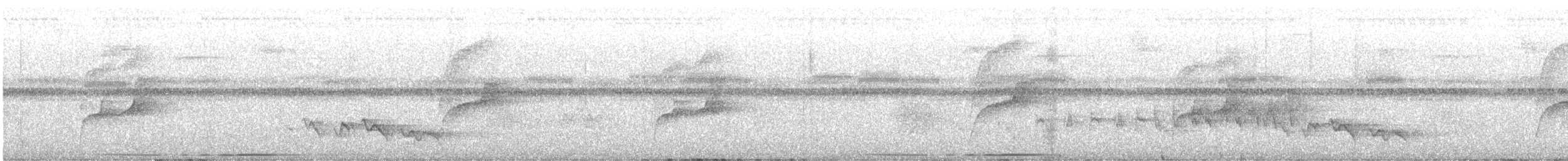 Large-tailed Dove - ML610138908