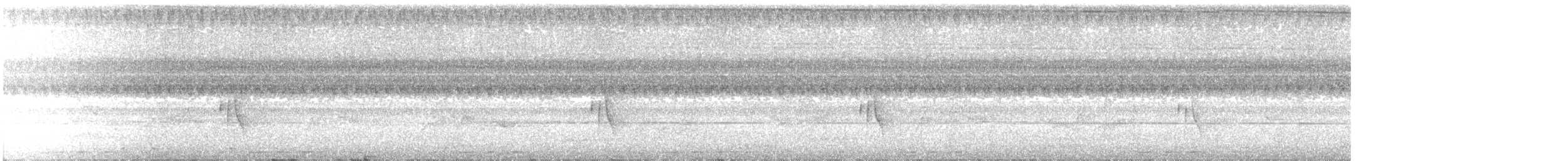 Kara Gerdanlı Terzikuşu - ML610140257