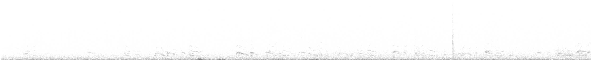Гуска білолоба (підвид gambelli/sponsa) - ML610140392