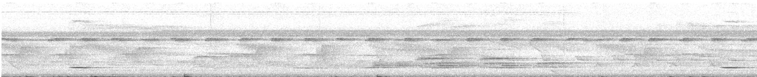 svartskrike (aterrimus) - ML610140528
