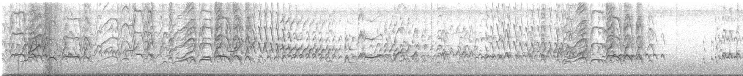 Красноклювая древесная утка - ML610142217