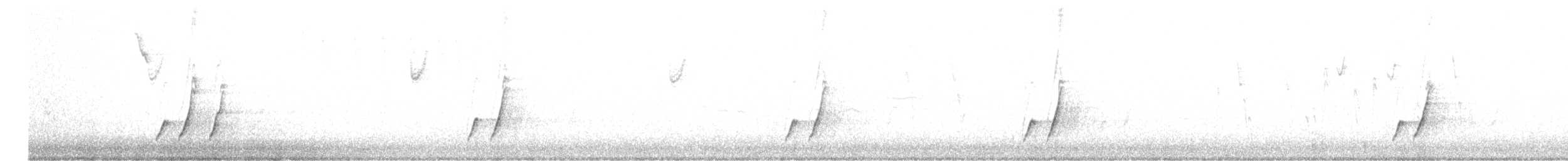 Curve-billed Thrasher (palmeri Group) - ML610142769