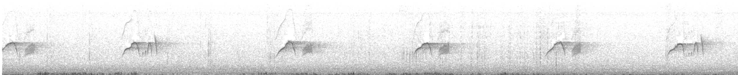 Светлобрюхий фиби - ML610145275