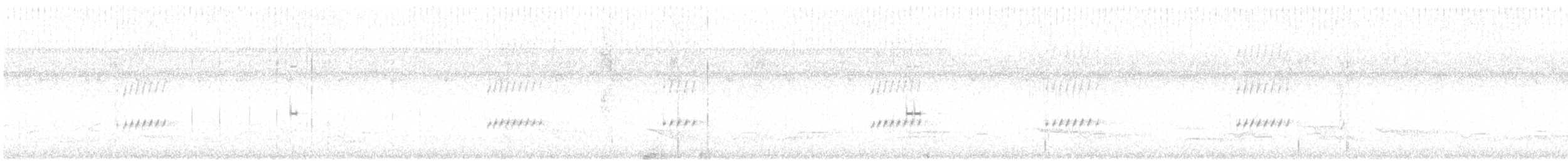 Microtyran oreillard - ML610155515