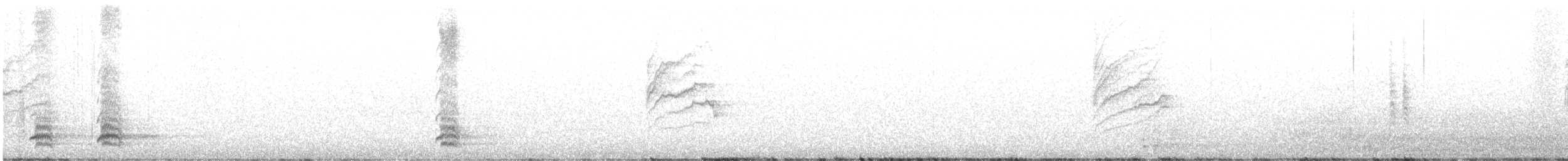 カナダカケス（capitalis／bicolor） - ML610158490