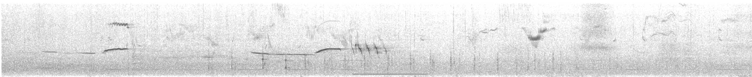 White-crowned Sparrow - ML610159298