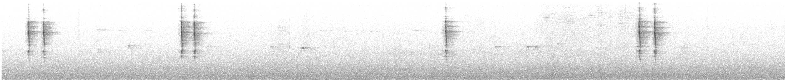 Troglodyte de Baird (groupe pacificus) - ML610159329