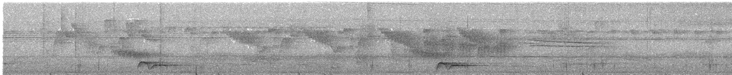 Bar-bellied Pitta - ML610160517