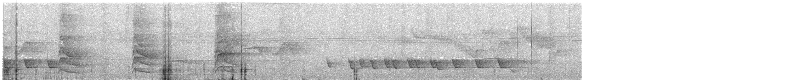 Bar-bellied Pitta - ML610160518