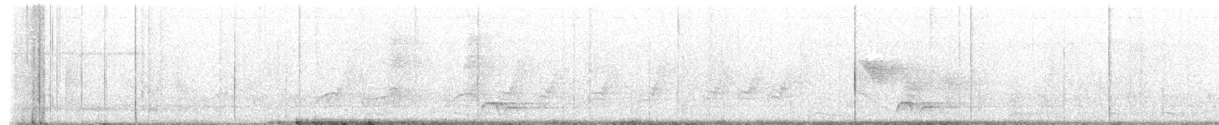 Bar-bellied Pitta - ML610161563