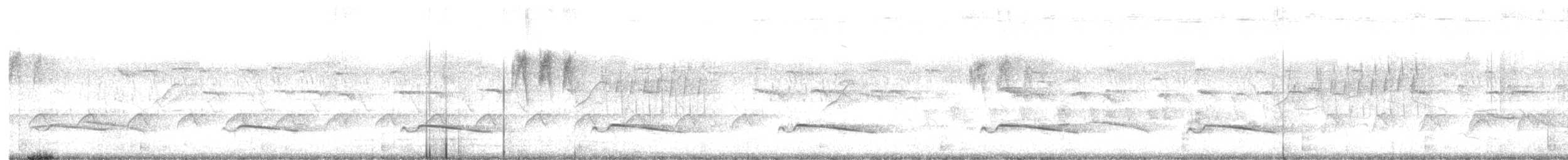 Gray-bellied Cuckoo - ML610162112