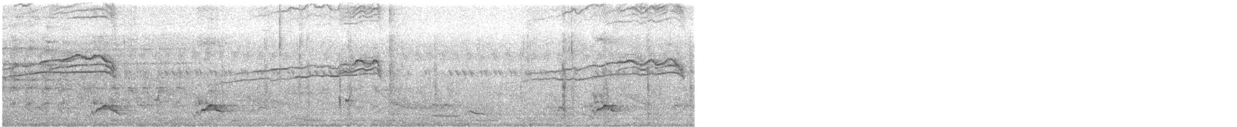 Carpophage argenté - ML610165537